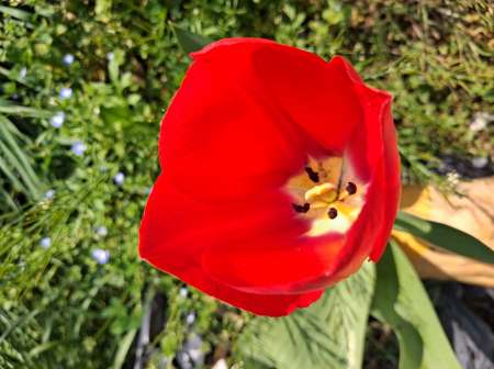 Jeune femme cherche plaisirs discrets entre femmes