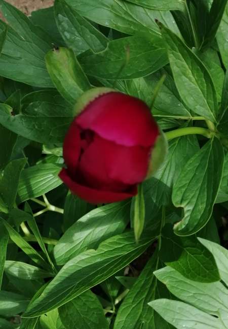 Rencontre amicale avec femme