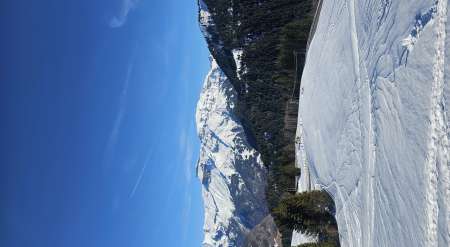 Tu as envie de te faire combler de plaisir?