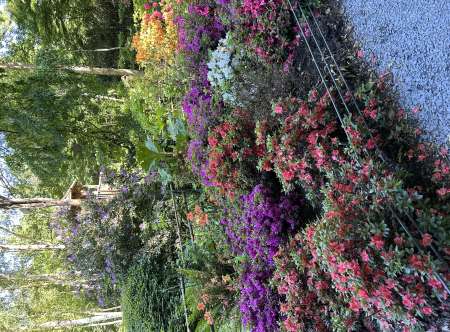 Femme bien dans sa t�te