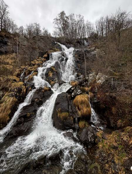 Massage,menage bricolage