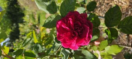 Homme recherche h,f ou couple pour ondinisme.