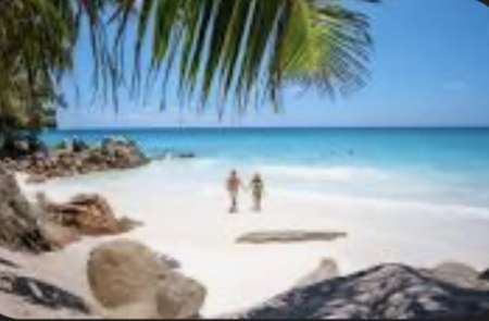 F ch h organisateur pluralit�