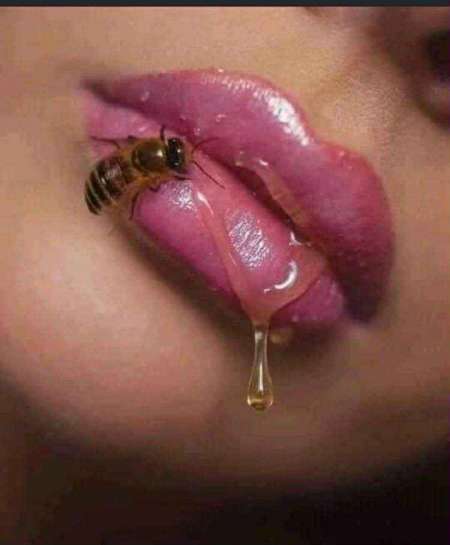 Aide personne dans le besoin