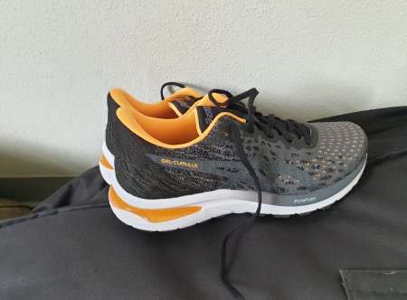 Rencontre simple �bats si d�sir mutuel