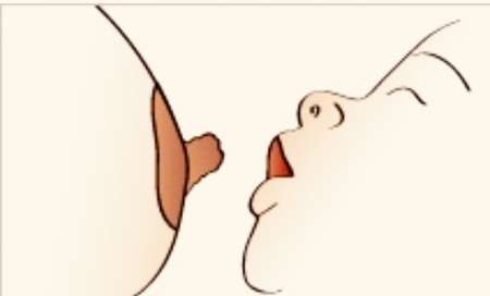 Monsieur pour t�ter et soulager vos seins