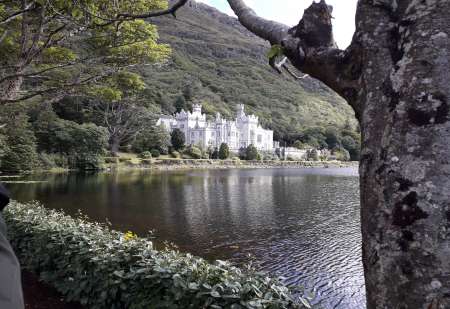 Bi plut�t passif pour fellations