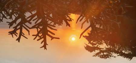 HOMME SOIXANTAINE CHERCHE FEMME 45 70 .