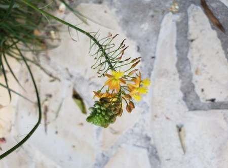 Offre ma bouche � femme pour votre jouissance