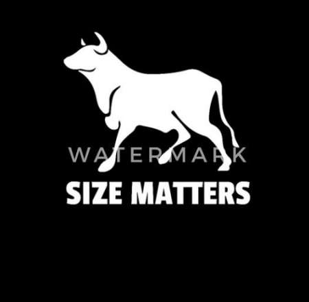 Etalon pour couple libertins