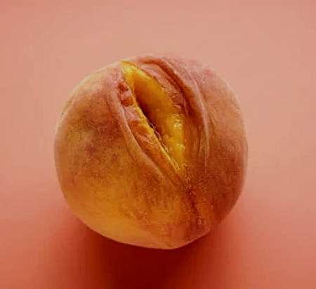 Passionn� Cunilingus, d�vou� aux Femmes Amatrices