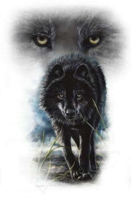 H RECHERCHE FEMME OCCASIONNELLE