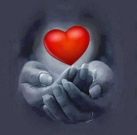 Mesdames, osez votre f�minit�