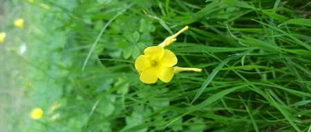 N'h�sitez pas � m'envoyer un mail aller