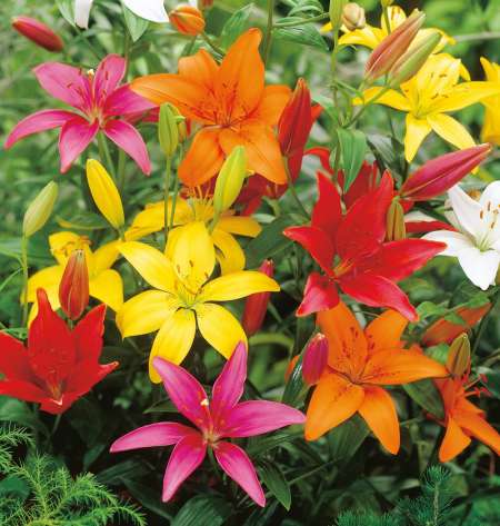 Former un couple particulier