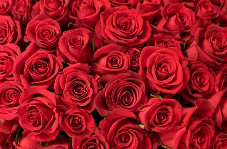 Couple pr�t � prendre un nouveau moneyslave