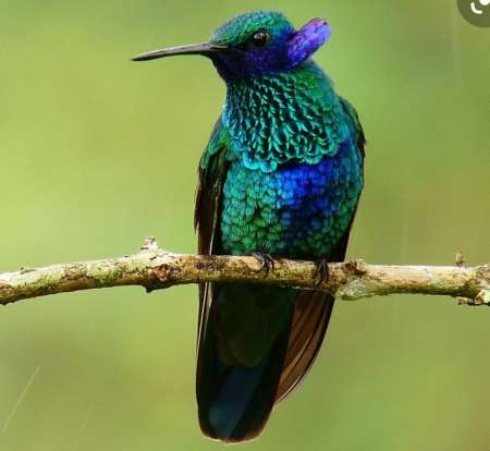 Cherche une bonne exp�rience sympathique