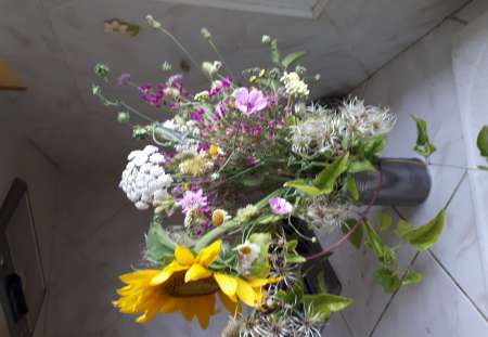  Douceur, plaisirs et bien-�tre