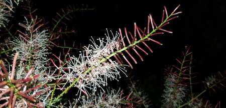 Homme doux recherche couple