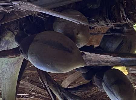 Massage pour femme tantrique