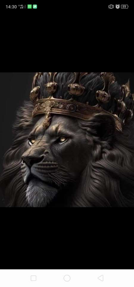 bonheuur d une femme sexy !