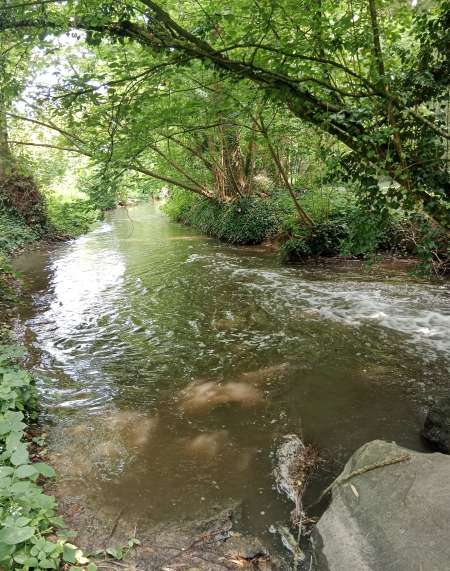 Cherche femme pour rencontre