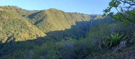 JH CHERCHE F M�TURE