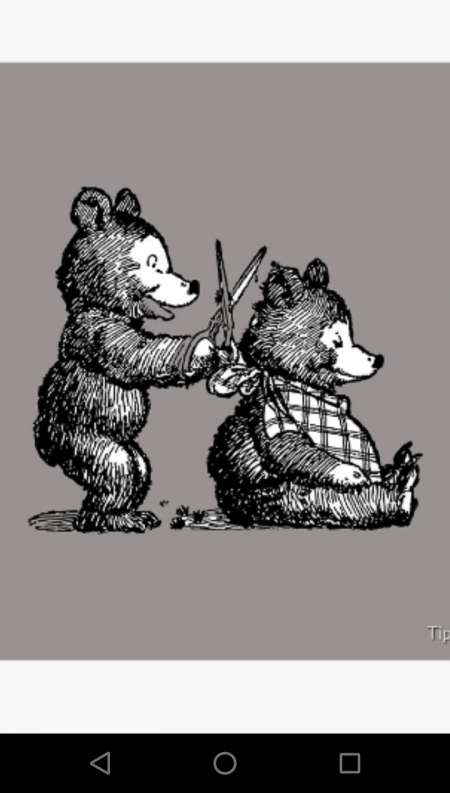 Tricophilie et jeux capilaires