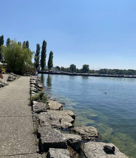  Homme Mediteranneen pour jeune femme