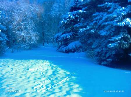 Femmes ou couple mari candauliste