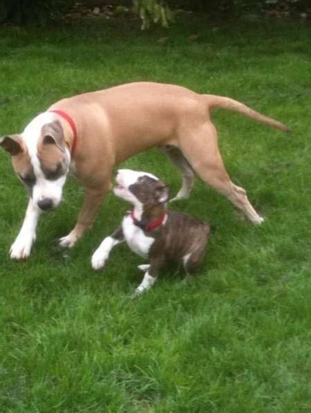 Homme cherche femme hard