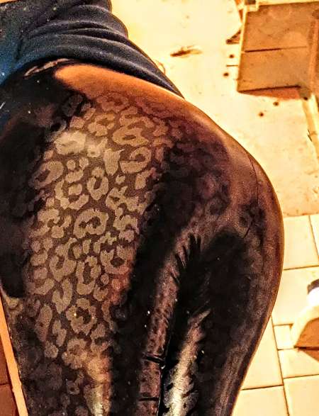 Je suis passif je m habill� en femme.