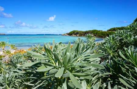 Beau m�tisse pour femme mature