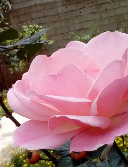 Uinquement Pour Passif AGE TRAV ET F�MINIS�