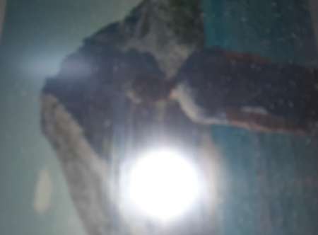 Sugar daddy tres clean ch etudiante