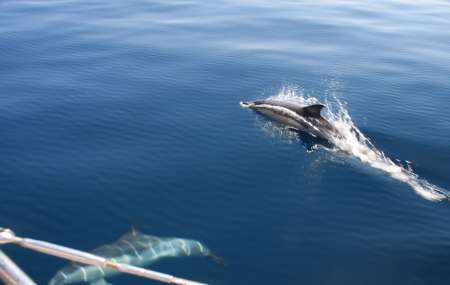 Croisi�re dans les �les grecques