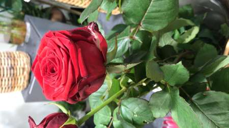 recherche femme caucasienne