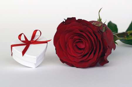  Pour tudiante ou Femme en qute d'vasion