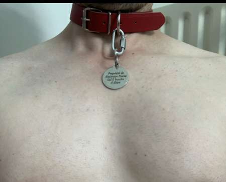 Soumis docile � disposition