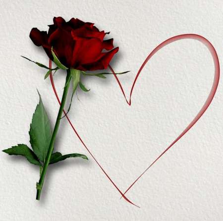 Cherche femme pour cunni