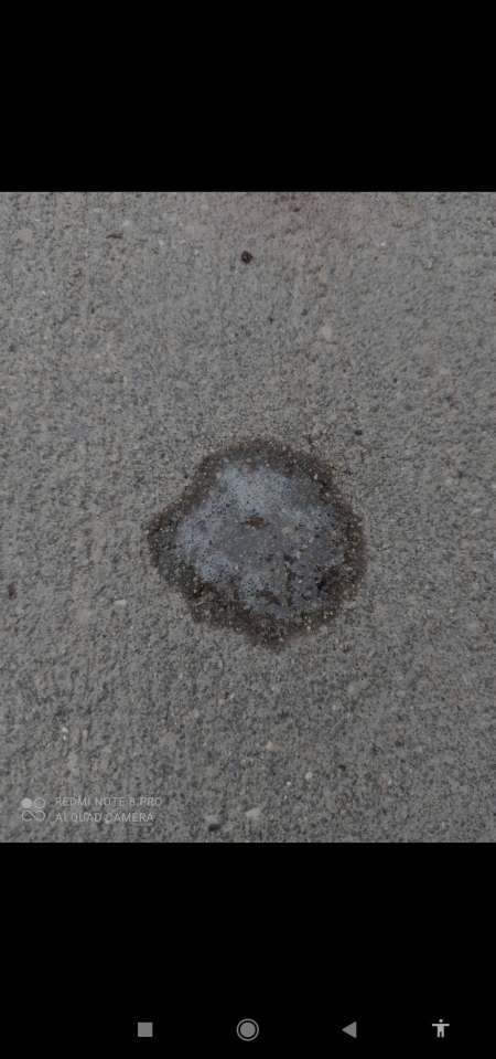 Soumis, du vaucluse pour BDSM Serieuse