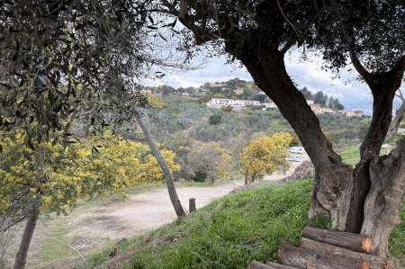 Propose moment d�tente pour femmes