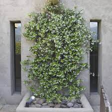 Massage d�tente relaxation plaisir