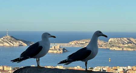 PARTAGE ET HOSPITALIT�