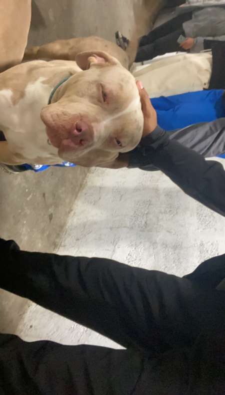 Rencontre je suis un homme pour femmme