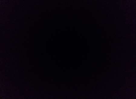 Intersexe hermaphrodite