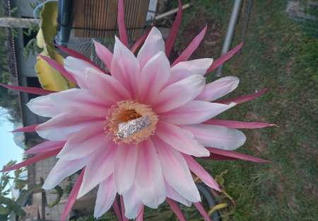 Homme cherche jf ou f pour relation s�rieuse