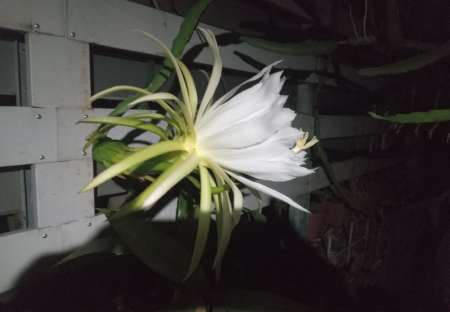  Homme cherche femme ou jeune femme