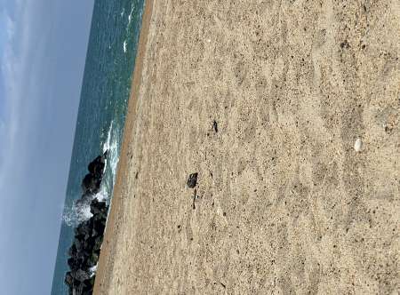  Homme disponible � d�couvrir