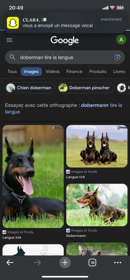 Cherche ma�tresse pour lui ob�ir